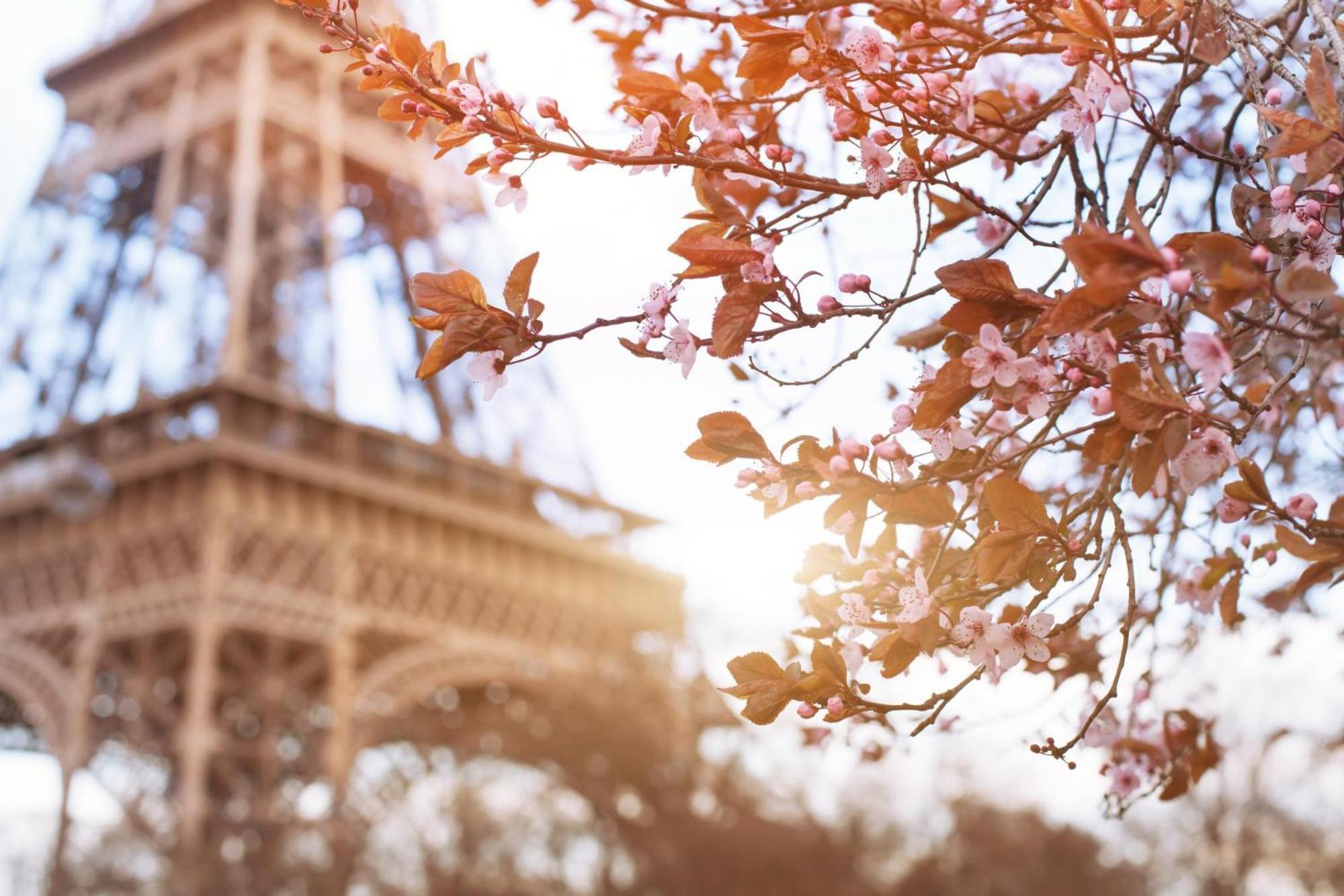 Timhotel Tour Eiffel París Exterior foto